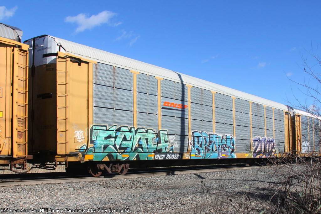 BNSF 300233