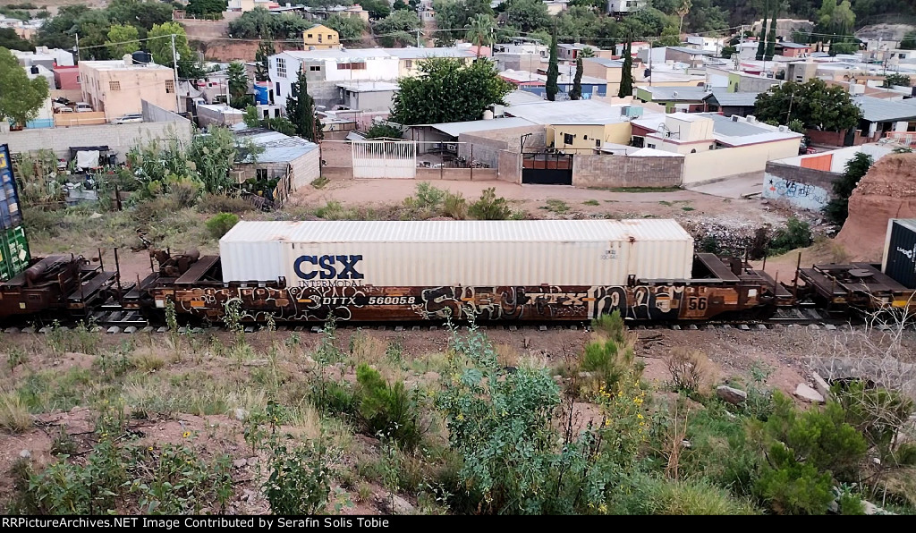 DTTX 560058