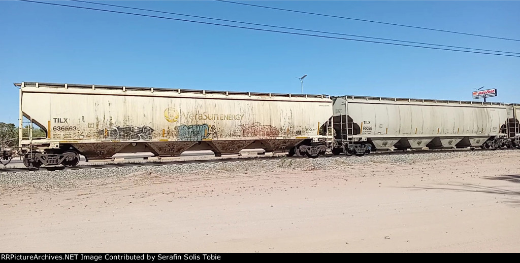 TILX 636563 TILX 66628