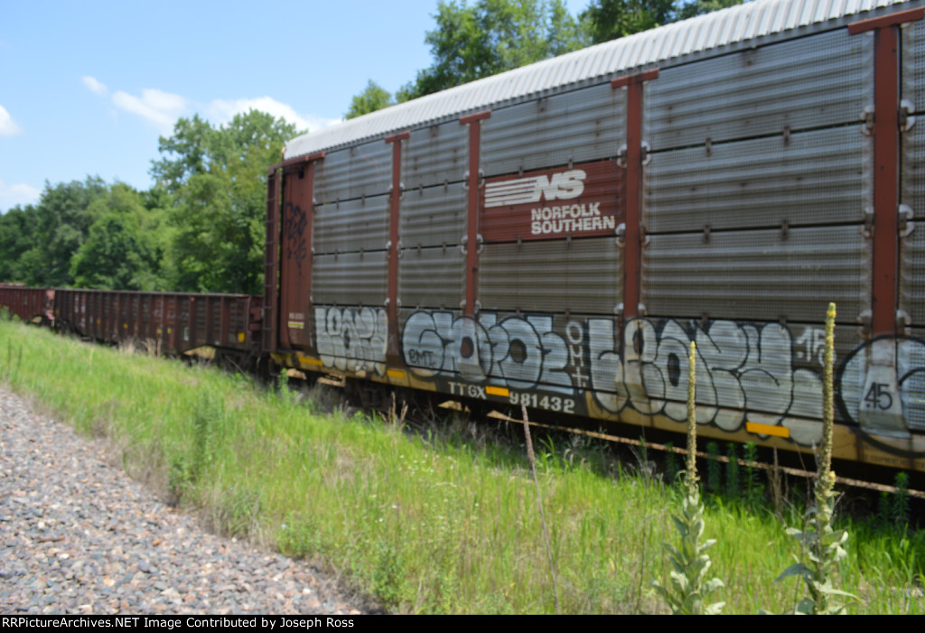TTGX 981432