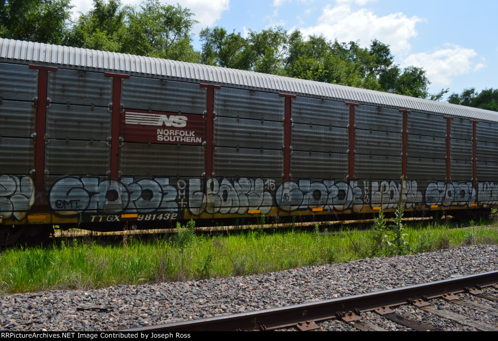 TTGX 981432