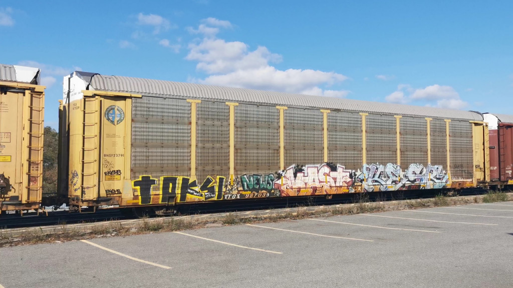 BNSF 23791 (Body) TTGX 987039 (Flat)