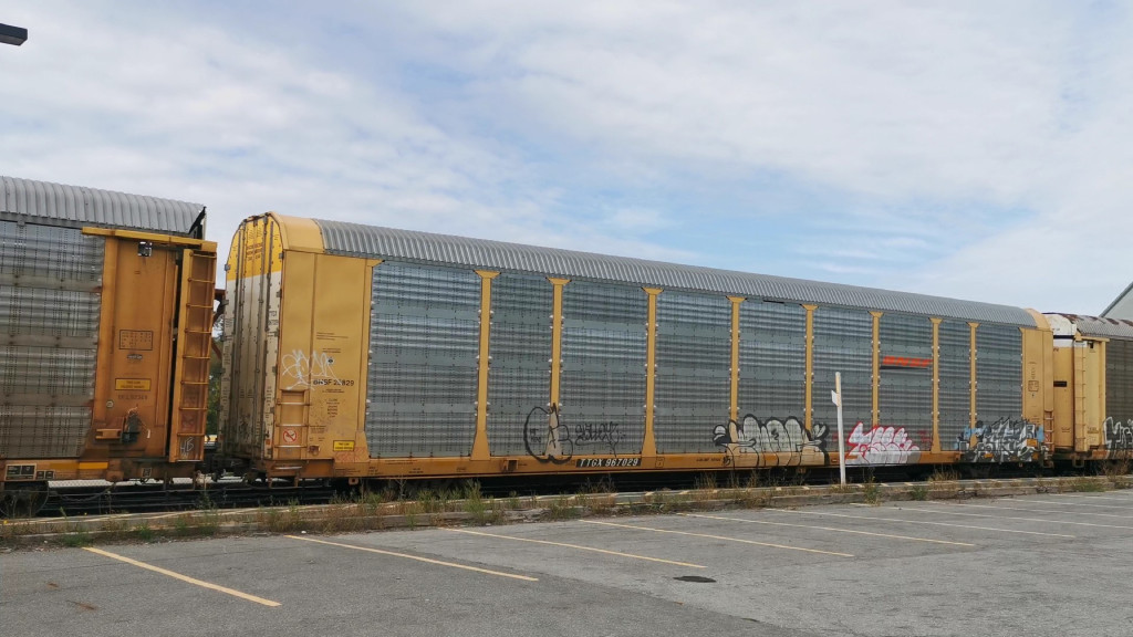 BNSF 25829 (Body) TTGX 967029 (Flat)