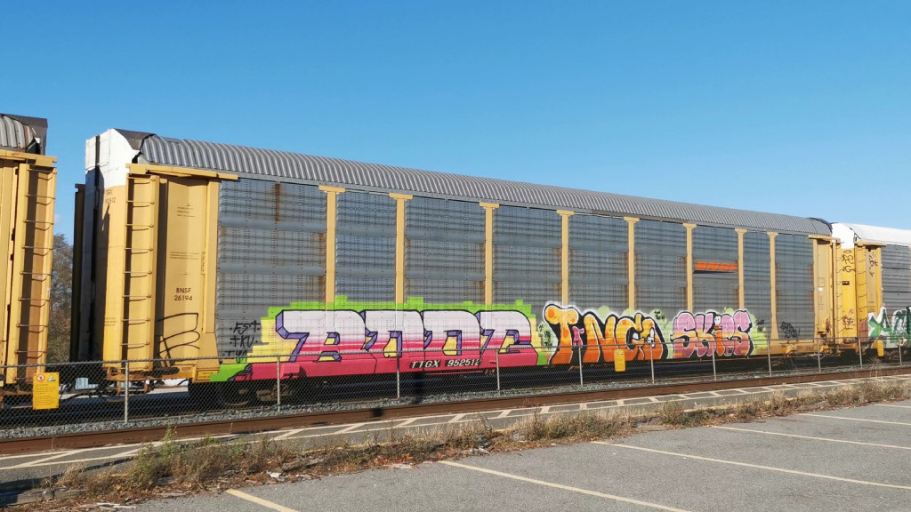 BNSF 26194 (Body) TTGX 952512 (Flat)