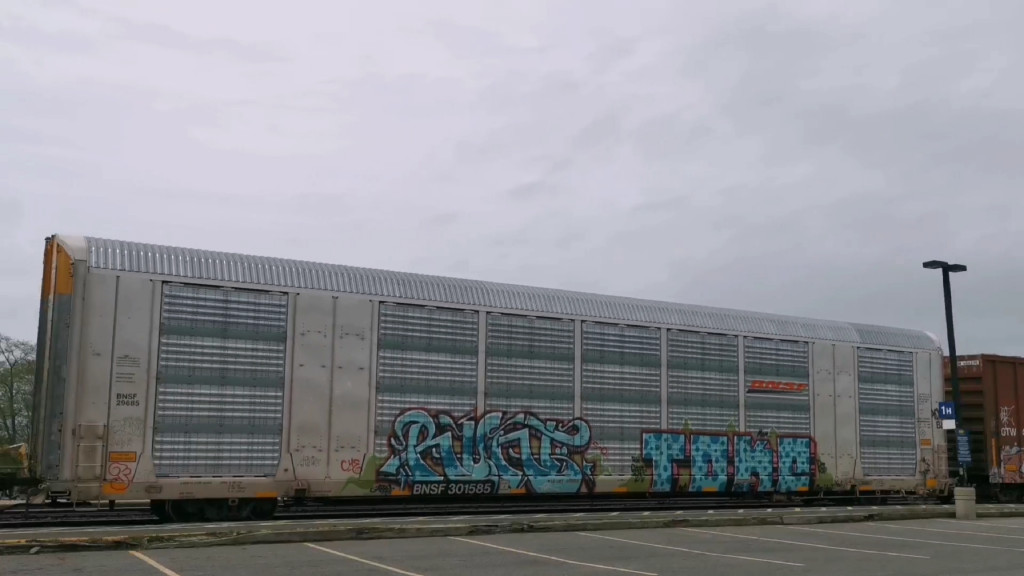 BNSF 29685 (Body) BNSF 301585 (Flat)