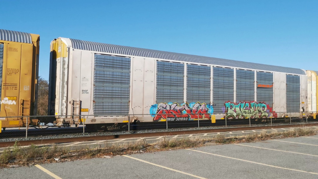 BNSF 29790 (Body) BNSF 301690 (Flat)