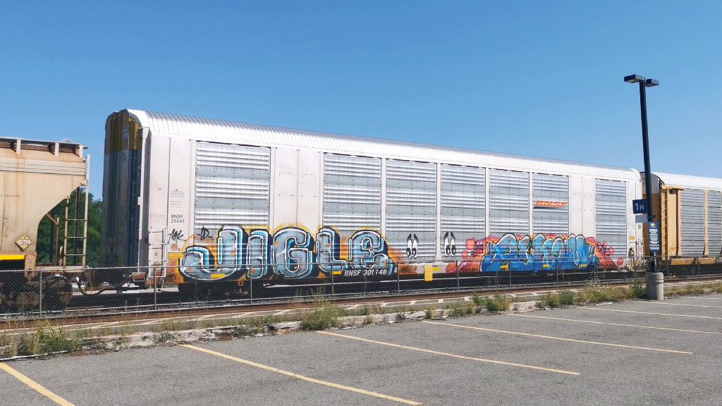 BNSF 29848 (Body) BNSF 301748 (Flat)