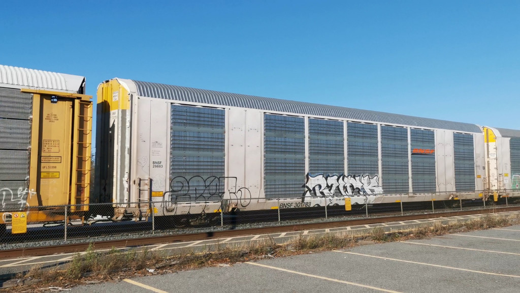 BNSF 29883 (Body) BNSF 301783 (Flat)