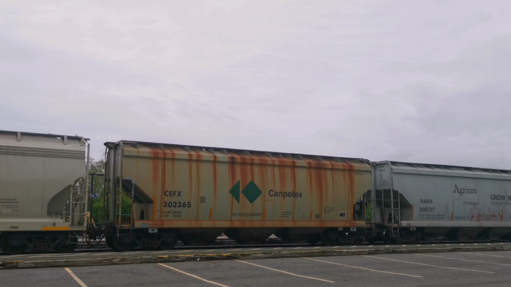 CEFX 302365