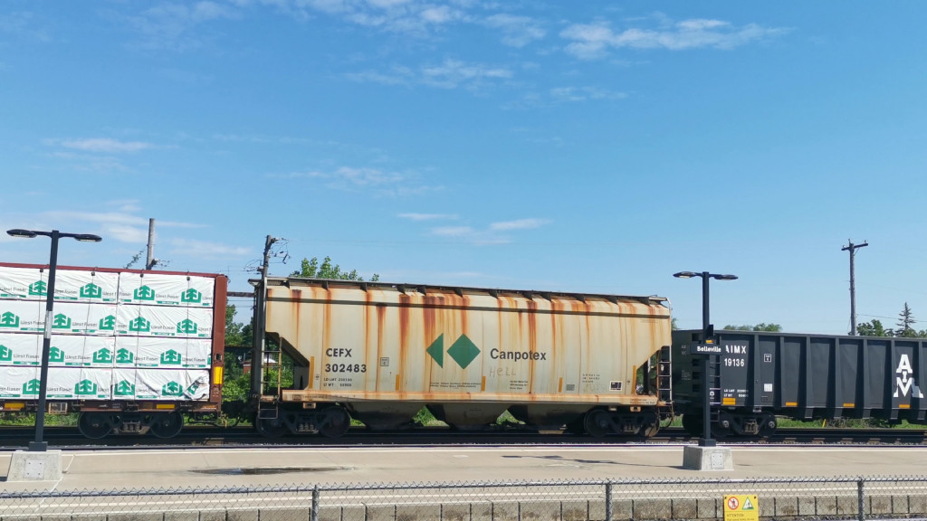 CEFX 302483