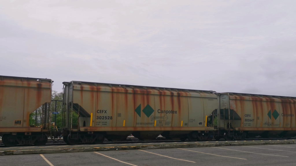 CEFX 302528