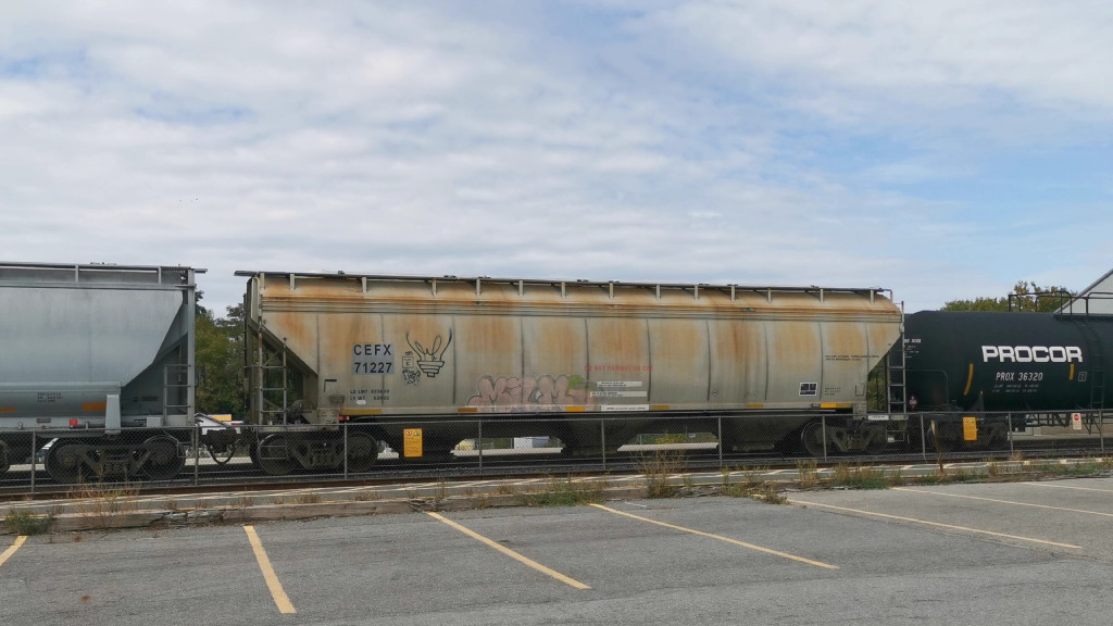 CEFX 71277