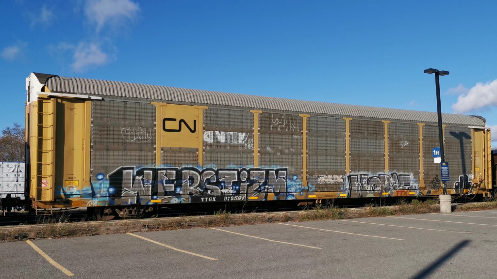 CN 6049 (Body) TTGX 979591 (Flat)