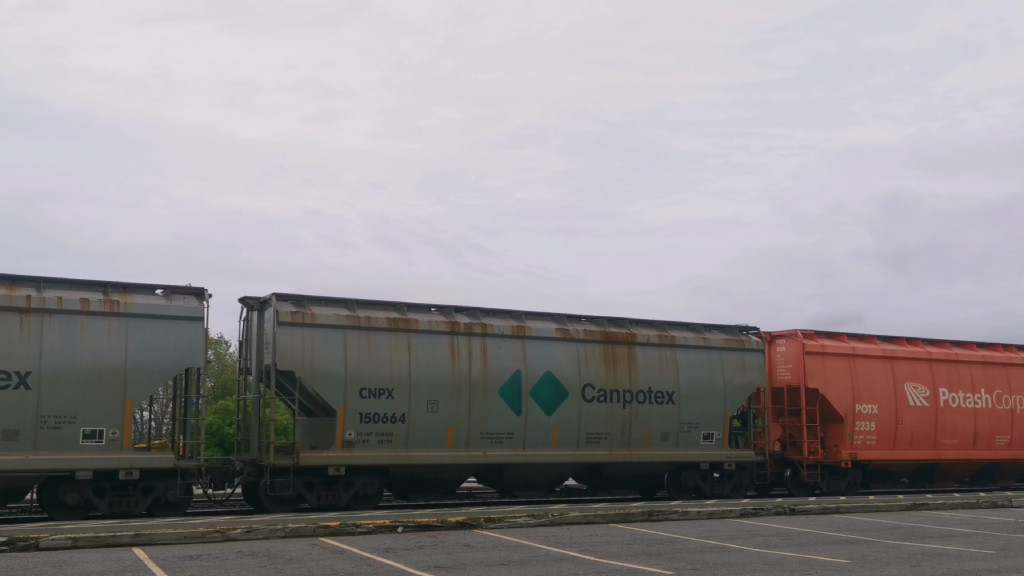 CNPX 150664