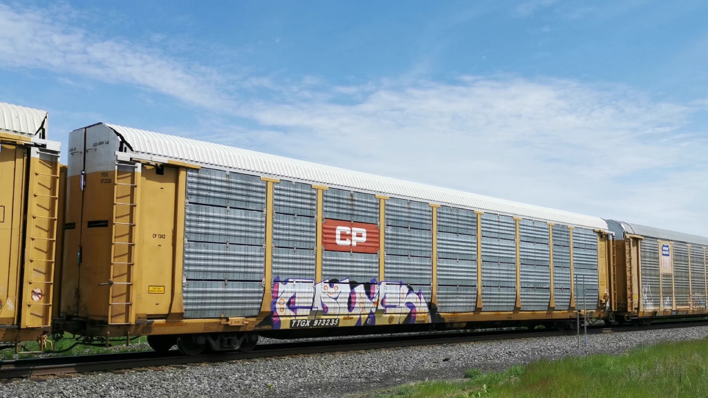 CP 1242 (Body) TTGX 973235 (Flat)