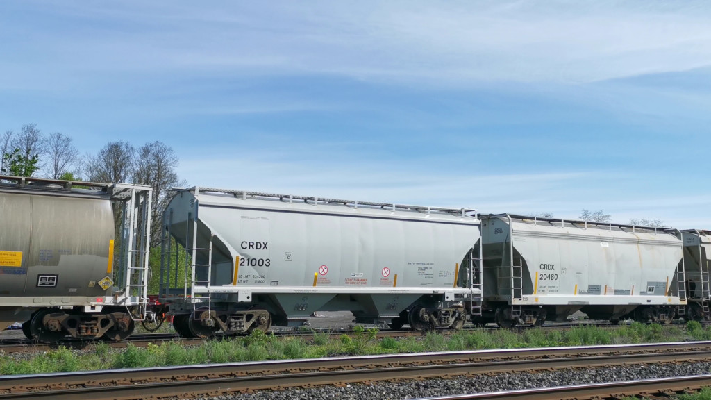 CRDX 21003