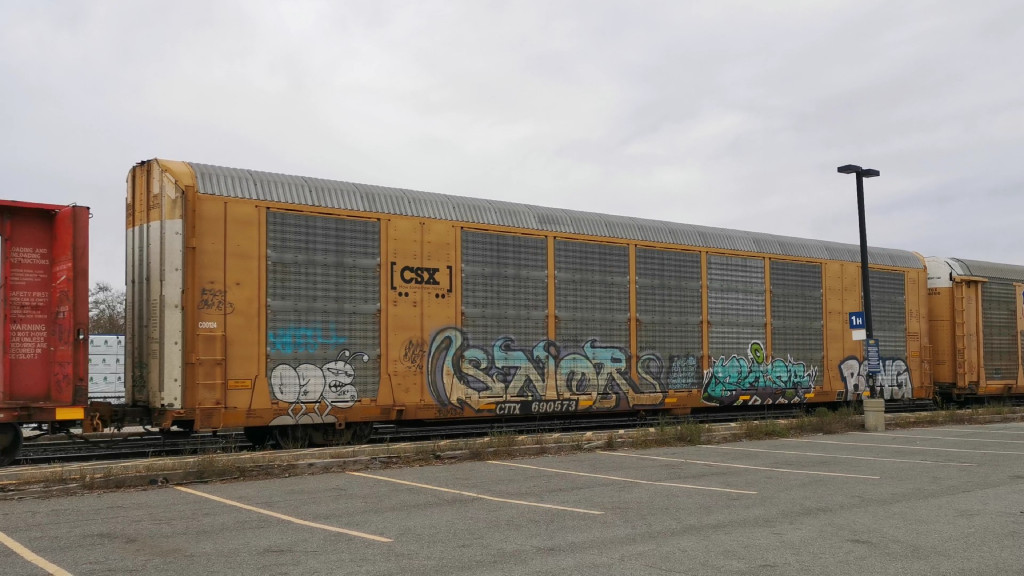 CSX C00124 (Body) CTTX 690573 (Flat)