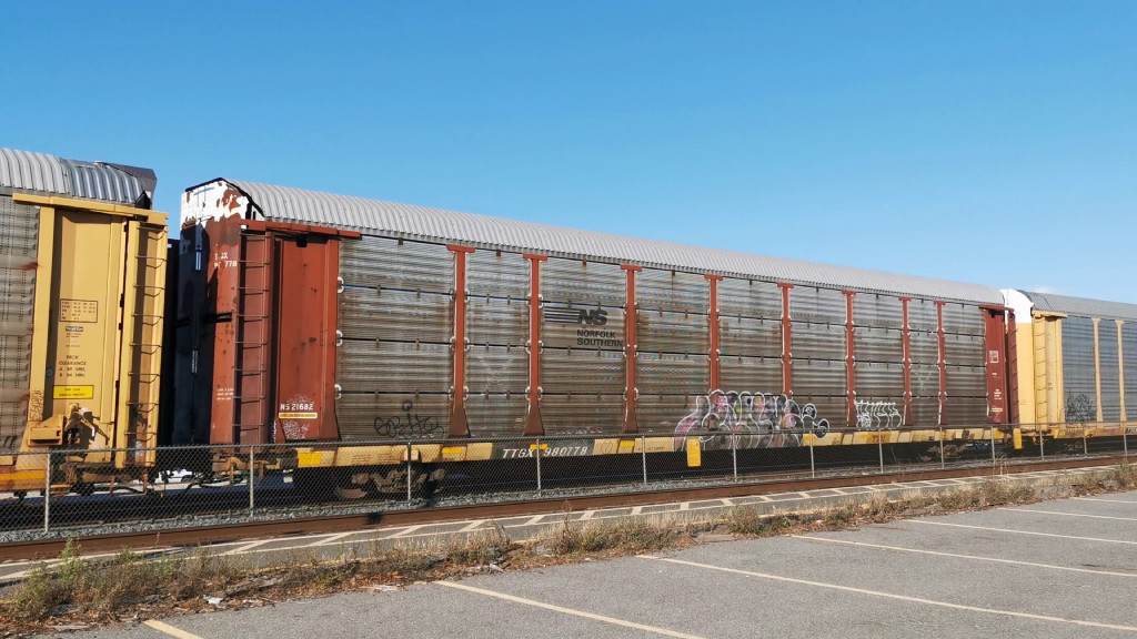 NS 21682 (Body) TTGX 980778 (Flat)