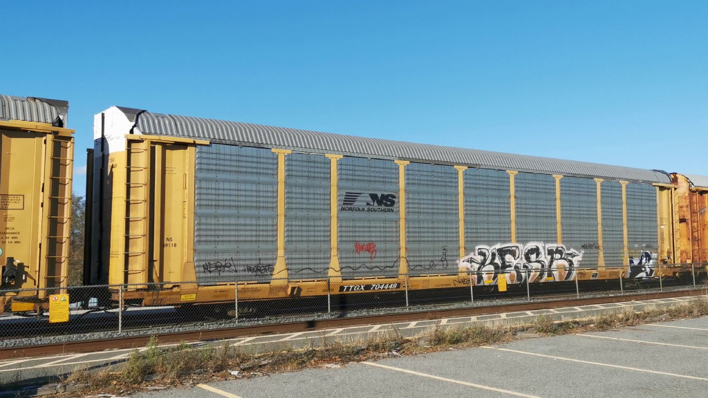 NS 49118 (Body) TTGX 704449 (Flat)
