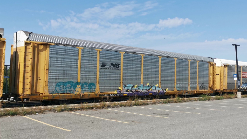 NS 49166 (Body) TTGX 704479 (Flat)