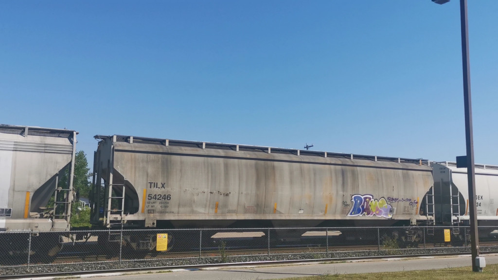 TILX 54246