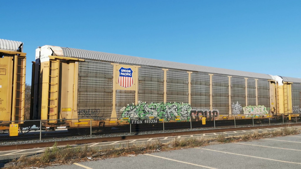 TTGX 985356