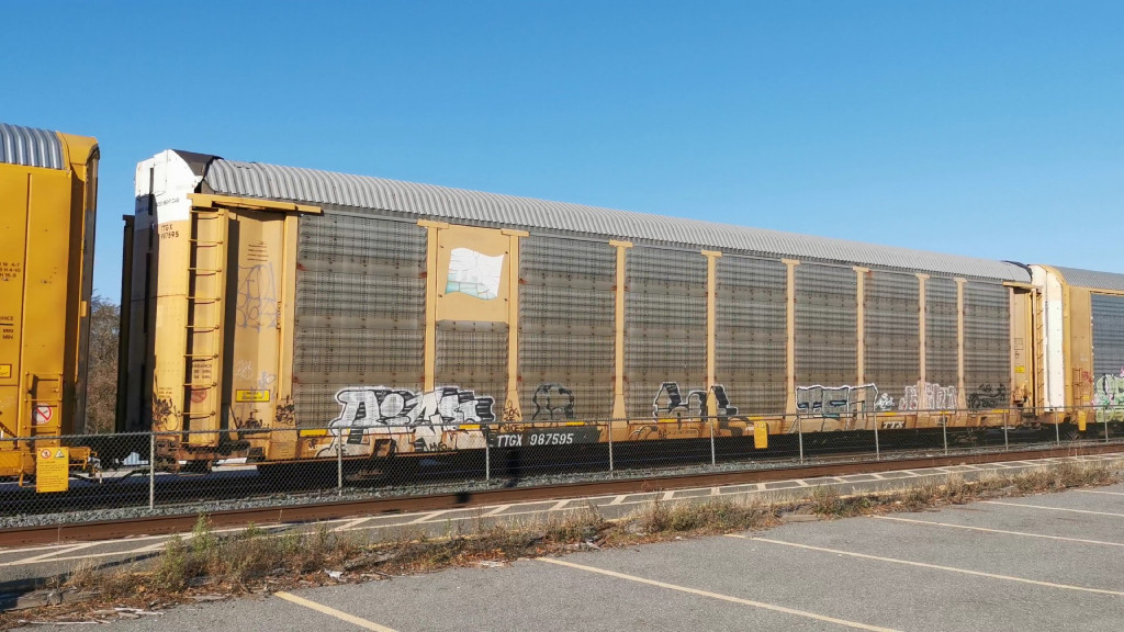 TTGX 987595