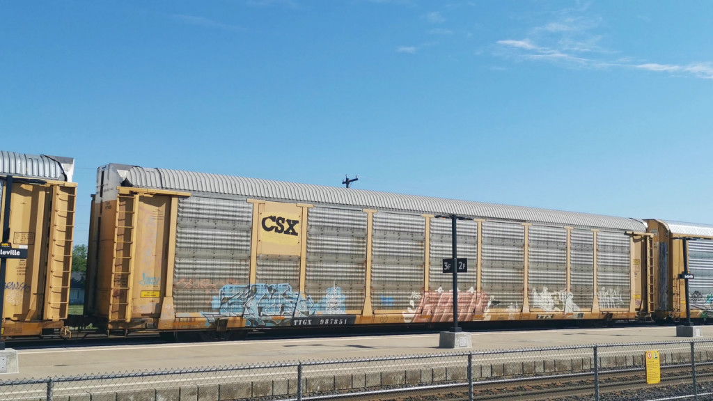 TTGX 987851