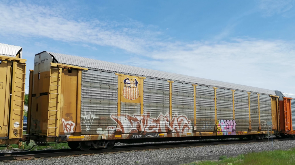 UP L91938 (Body) TTGX 980023 (Flat)