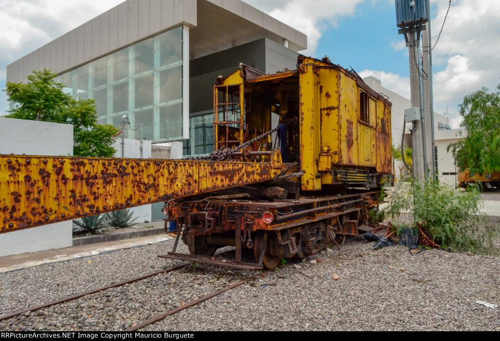 NdeM American Burro Crane