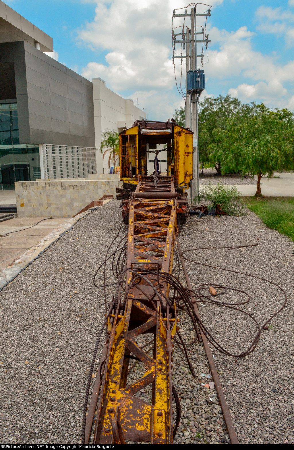 NdeM American Burro Crane