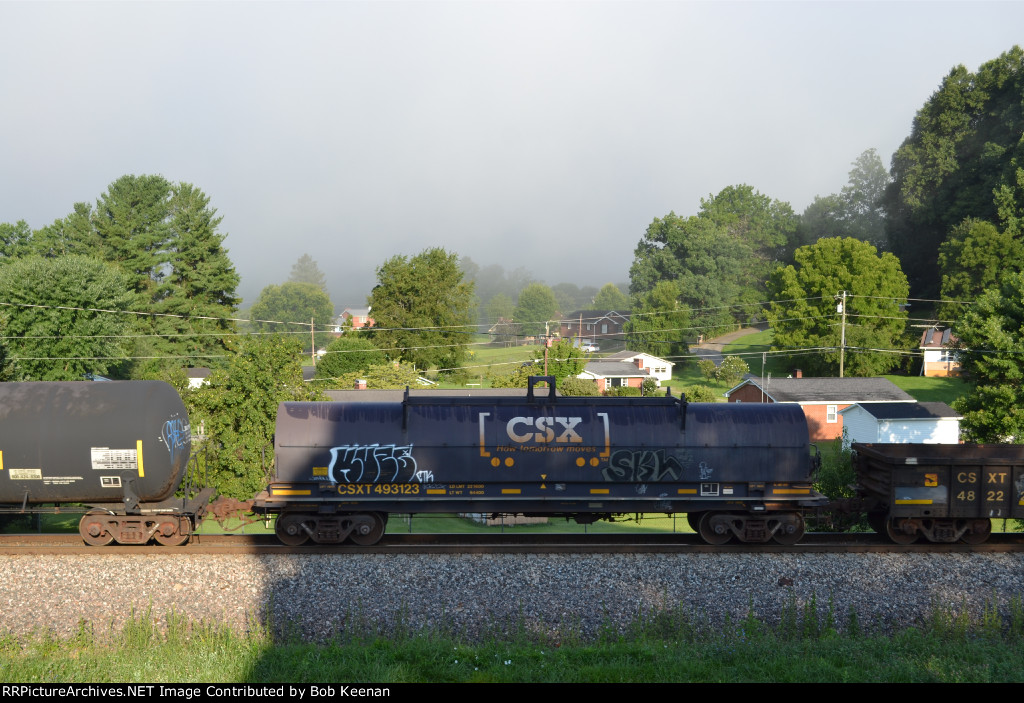 CSXT 493123