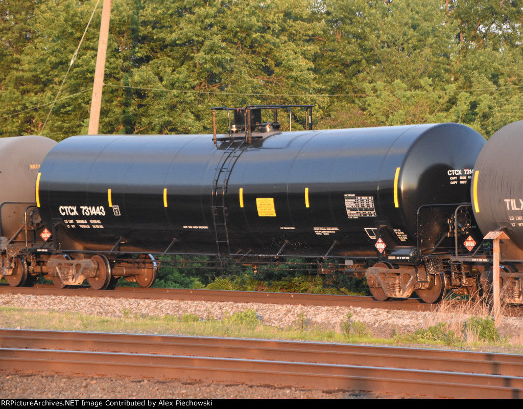 CTCX 731443