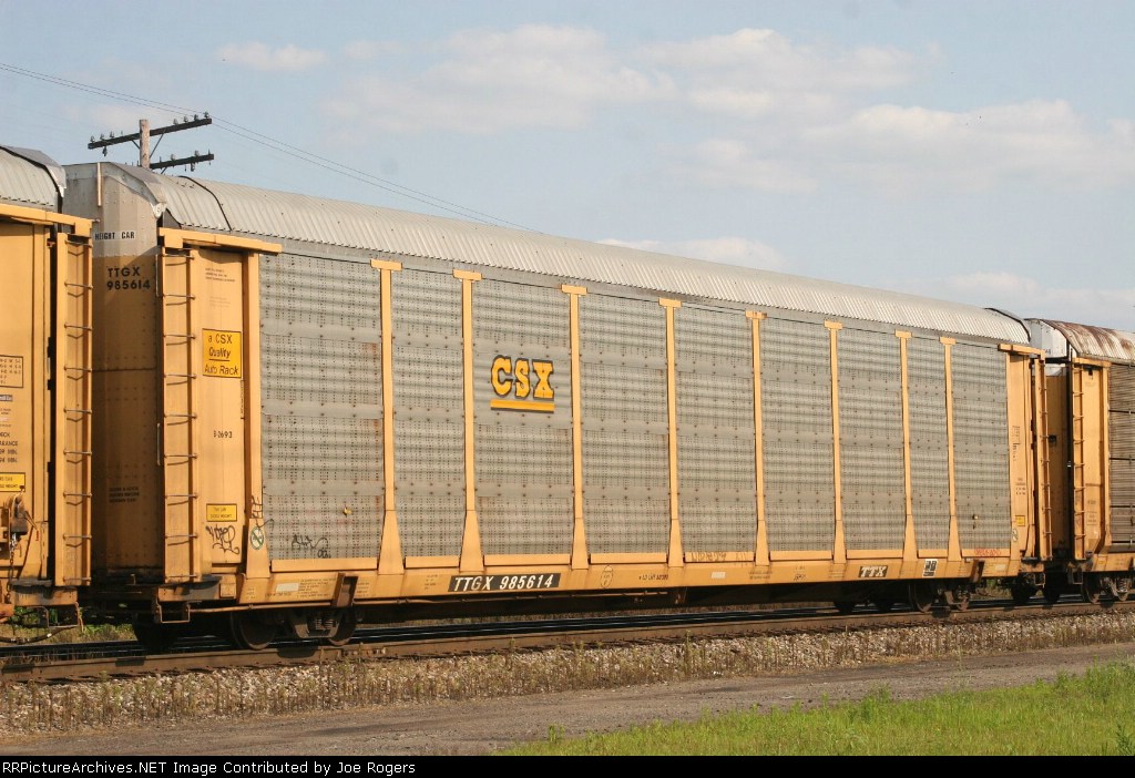 TTGX 985614
