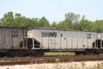 NS 38418