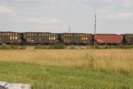 CSX 295200