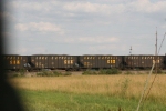 CSX 295491