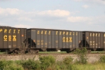 CSX 295554