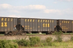 CSX 295569