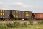 CSX 295953