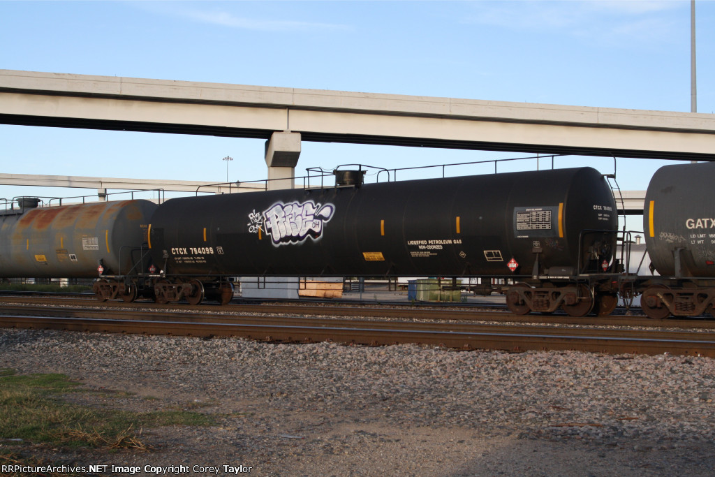 CTCX 784099