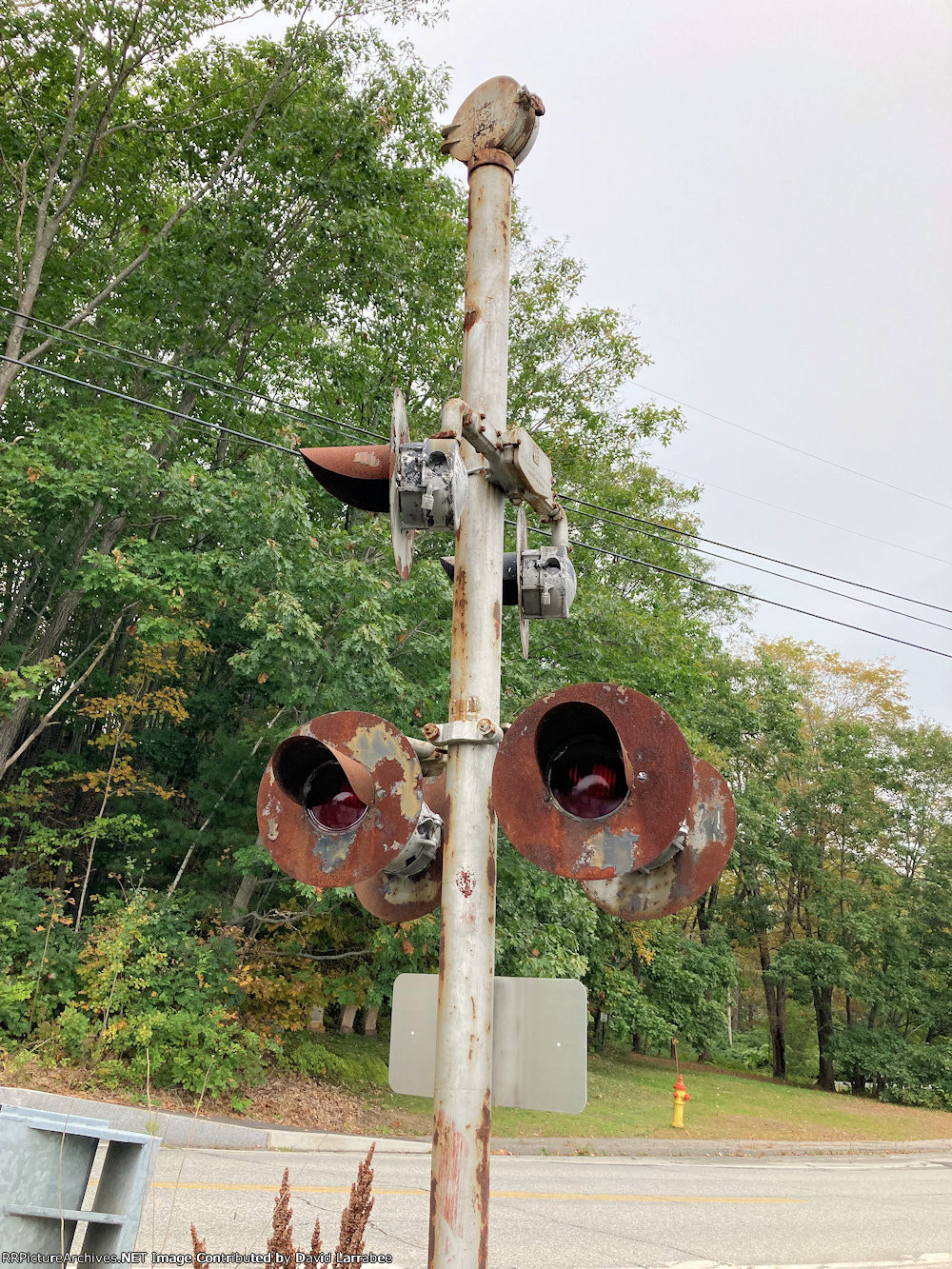 The bell at the tip...