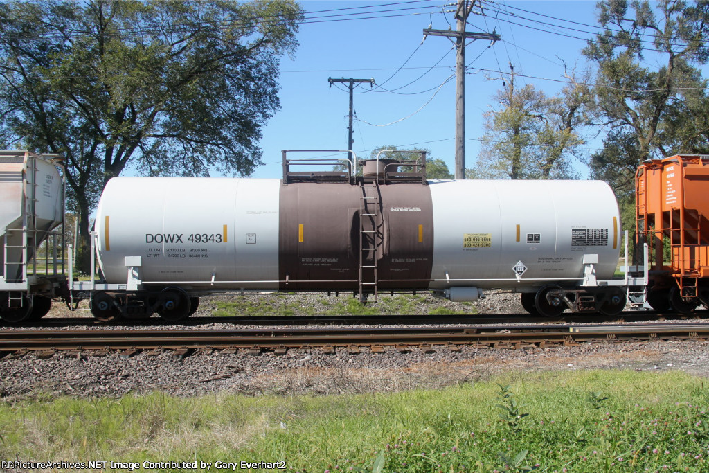 DOWX 49343 - Dow Chemical Co