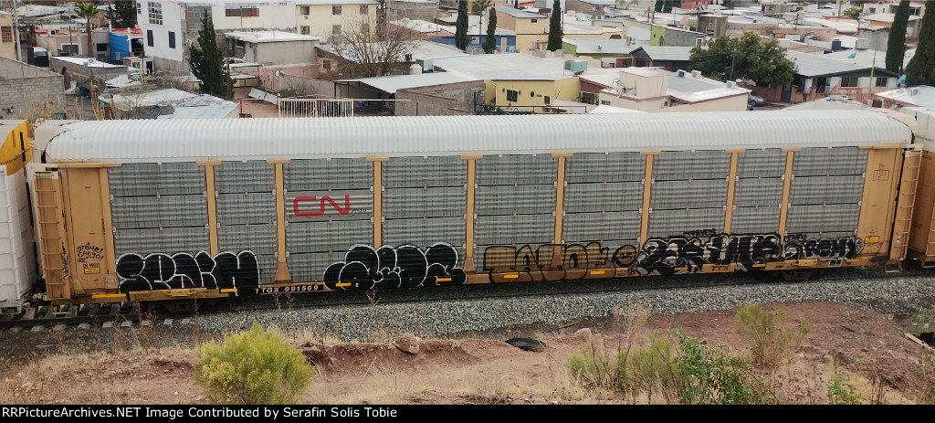 TTGX 991569 Rack CN