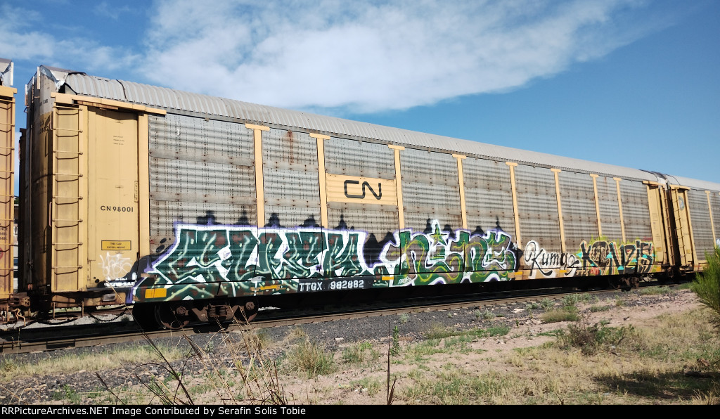 CN 98001 TTGX 982882