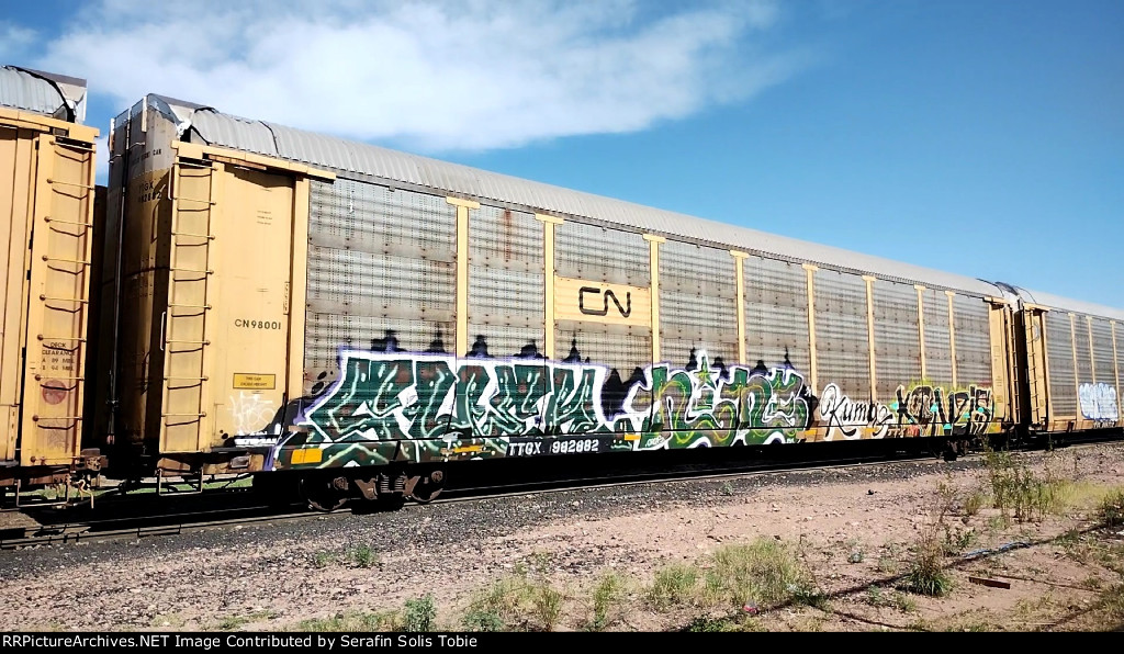 CN 98001 TTGX 982882