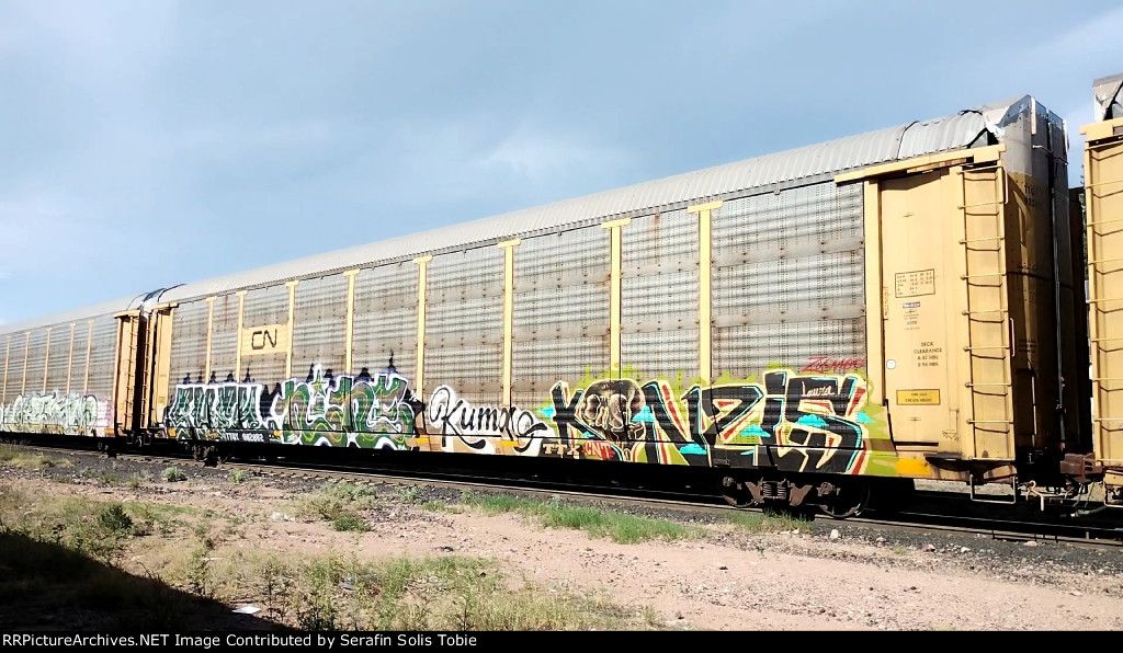 CN 98001 TTGX 982882