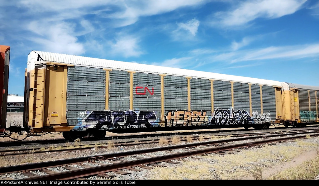 CN 96132 TTGX 973509