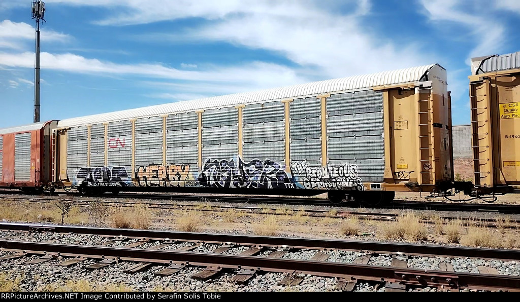 CN 96132 TTGX 973509