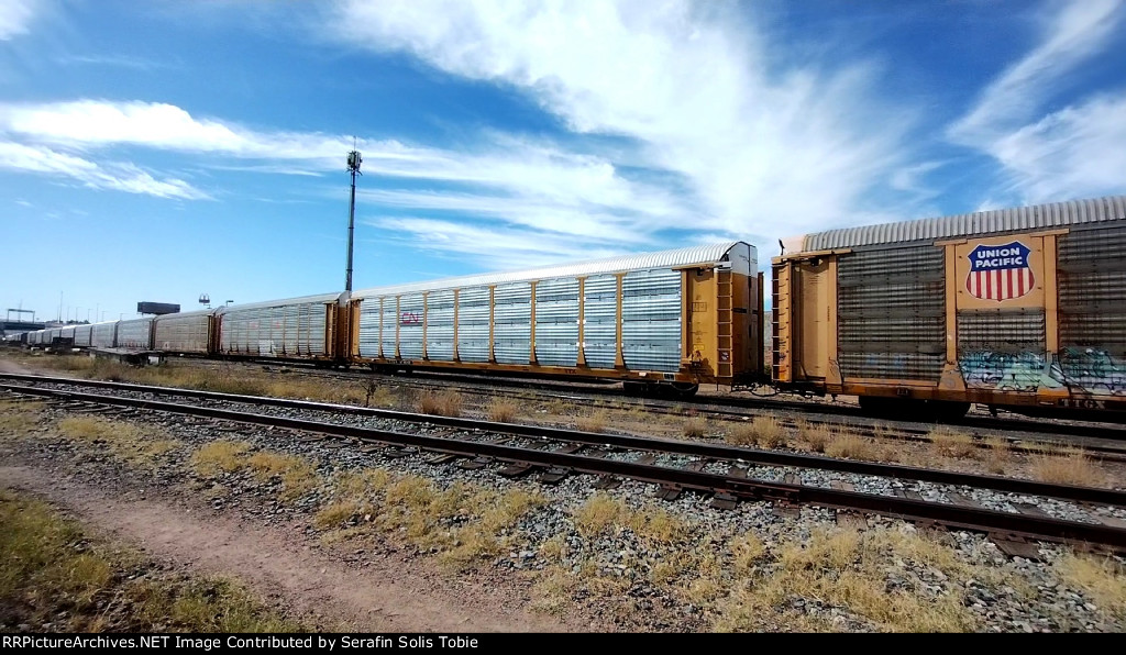 CN 97014 TTGX 974649